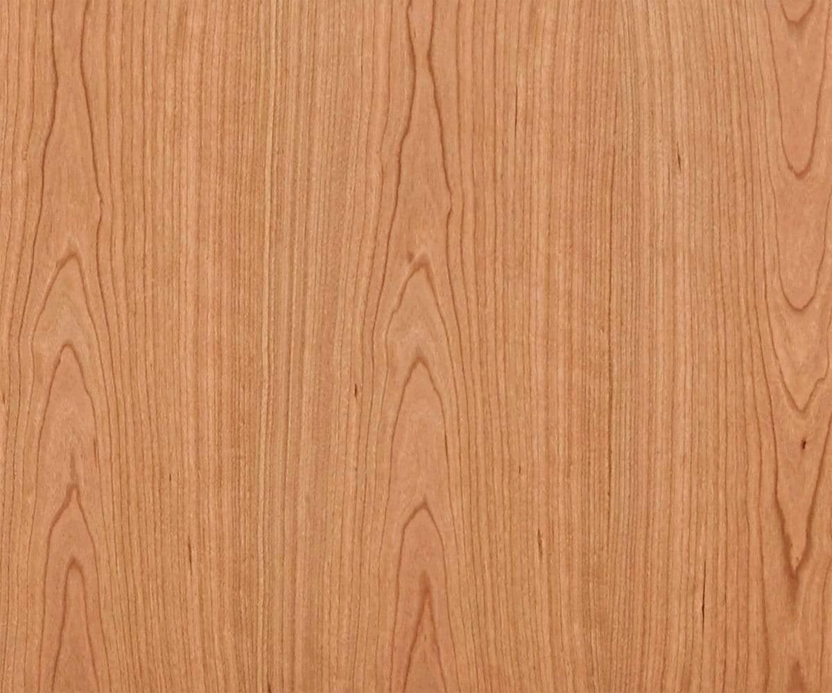 Baptisia 79" Media Stand - Image 12